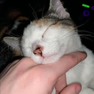 Meet your Posher, Logan